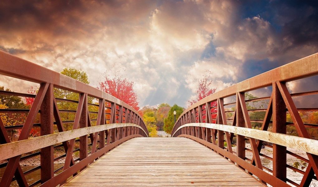 bridge, nature, fall