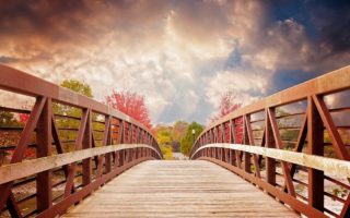 bridge, nature, fall