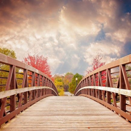 bridge, nature, fall