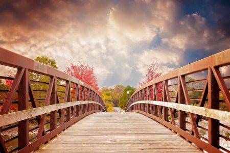 bridge, nature, fall