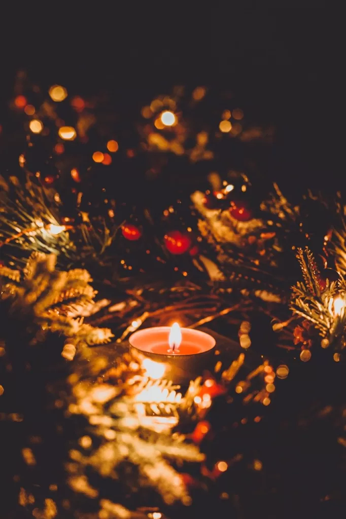 candle, pine, christmas tree-7581472.jpg