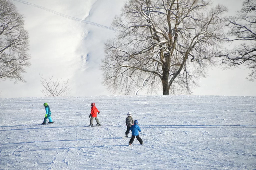 children, ski lessons, exercise hills-3167578.jpg