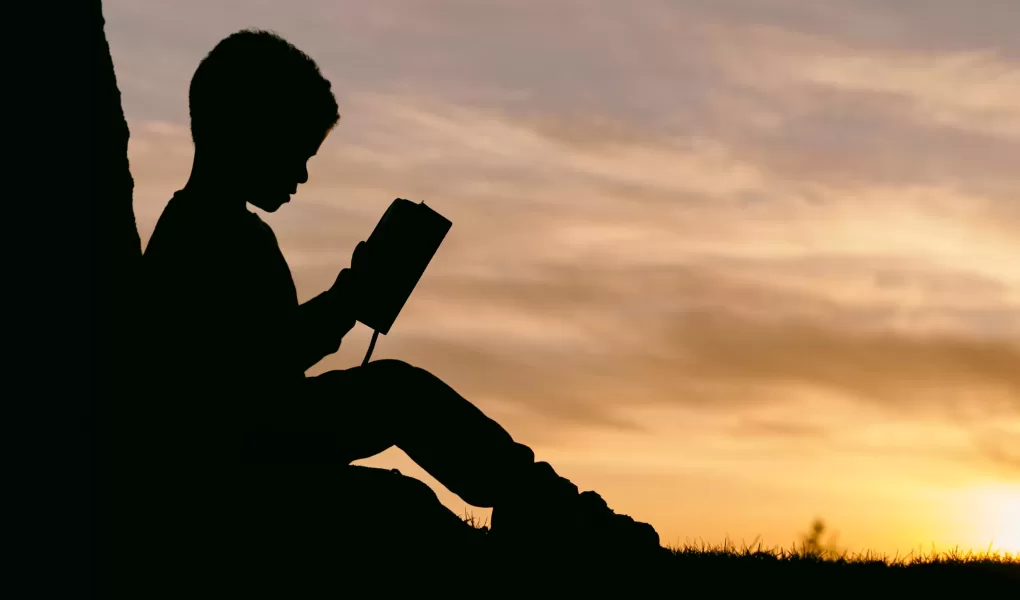 Boy reading at sunset