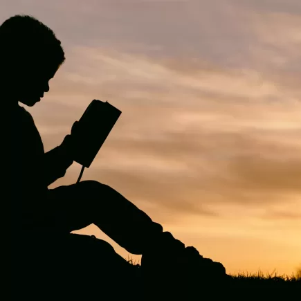 Boy reading at sunset