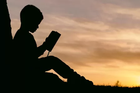 Boy reading at sunset